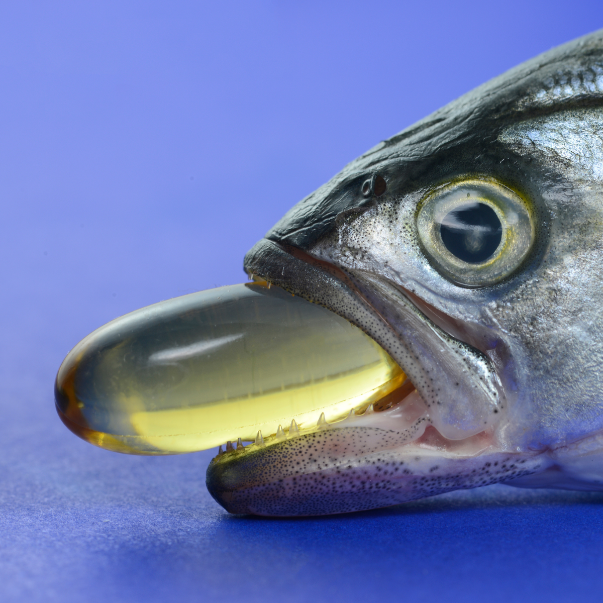 HUGE Benefits of Omega-3 Fish Oil